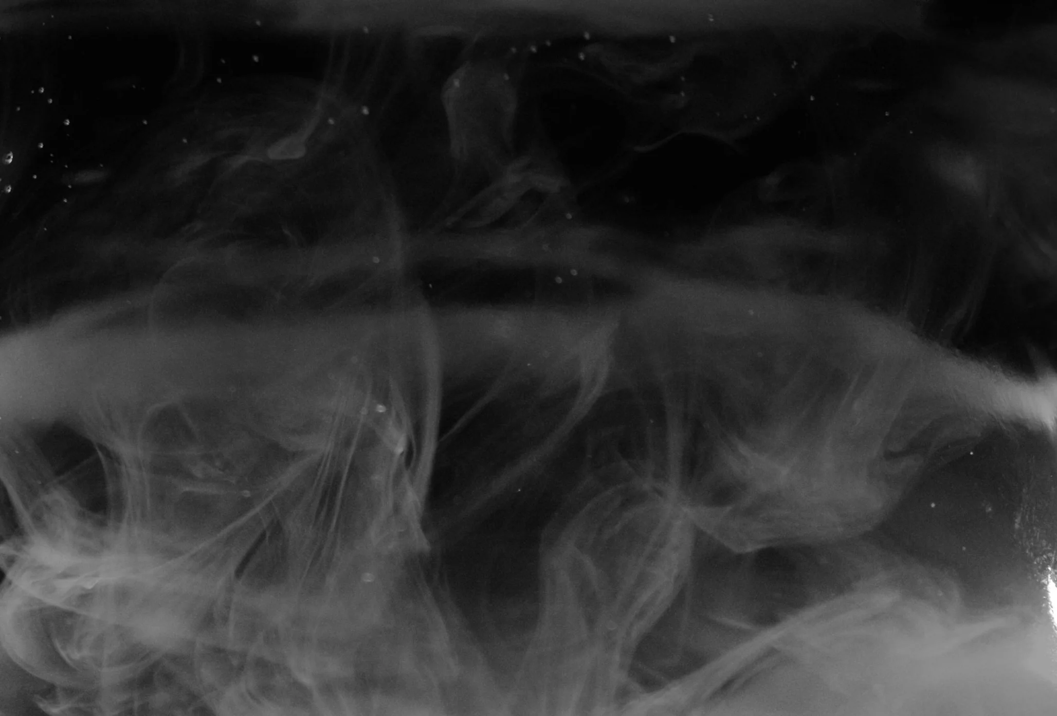 Fever Developer Portal